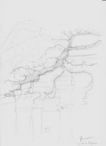 site dekoninckferey tours la vieille glycine crayon 30 x 21 cm