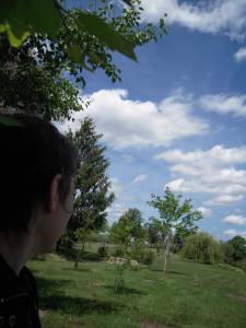 site dekoninckferey Olendon choix motif