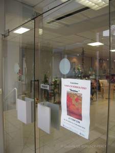 site dekoninckferey 2015 ICEP fleurs