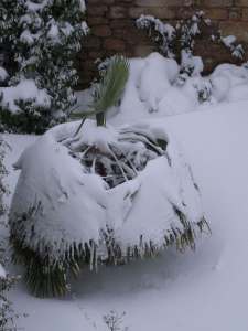 site dekoninckferey mon igloo 13 mars 2013