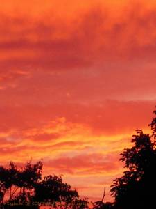 site dekoninckferey 2011 soleil 1