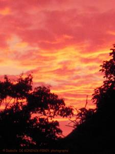 site dekoninckferey 2011 soleil 3