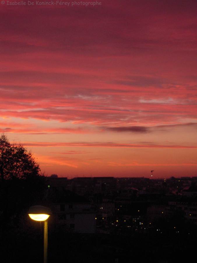 site-dekoninckferey-matin-14-novembre-2016-1